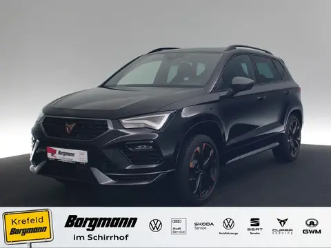 Annonce CUPRA ATECA Essence 2024 d'occasion 