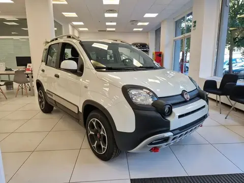 Annonce FIAT PANDA Hybride 2023 d'occasion 