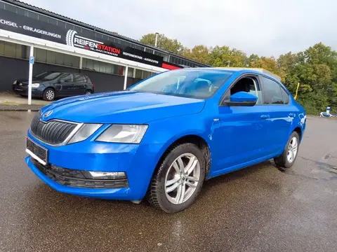 Used SKODA OCTAVIA Diesel 2019 Ad 