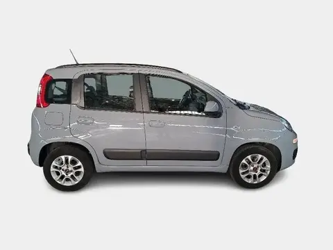 Used FIAT PANDA Petrol 2020 Ad 