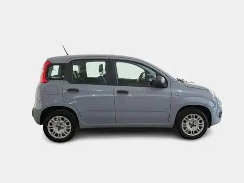 Used FIAT PANDA Petrol 2020 Ad 