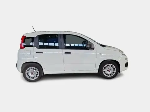 Used FIAT PANDA Hybrid 2021 Ad 