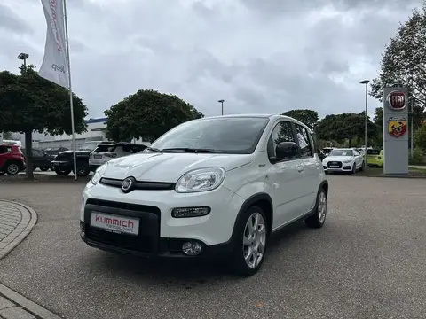 Used FIAT PANDA Hybrid 2021 Ad 