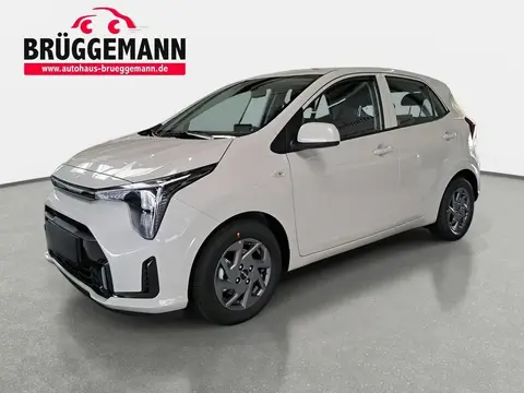 Used KIA PICANTO Petrol 2024 Ad 