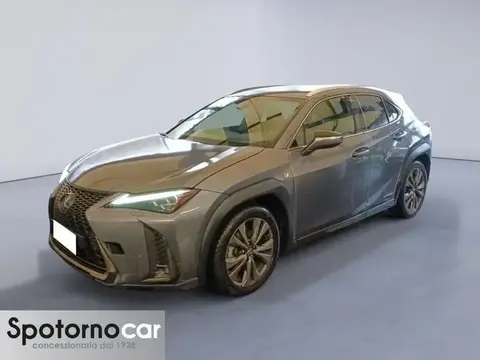 Used LEXUS UX Hybrid 2020 Ad 