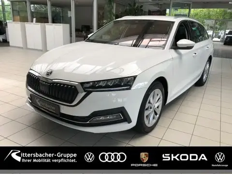 Annonce SKODA OCTAVIA Diesel 2023 d'occasion 