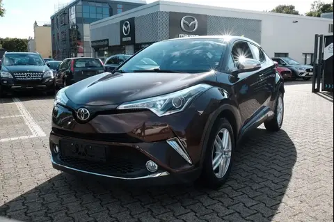 Used TOYOTA C-HR Petrol 2017 Ad 