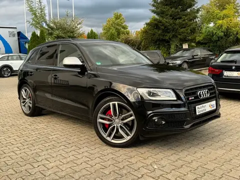 Used AUDI SQ5 Diesel 2016 Ad 