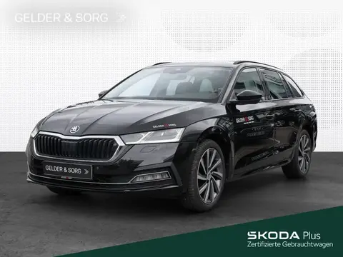 Annonce SKODA OCTAVIA Diesel 2021 d'occasion 