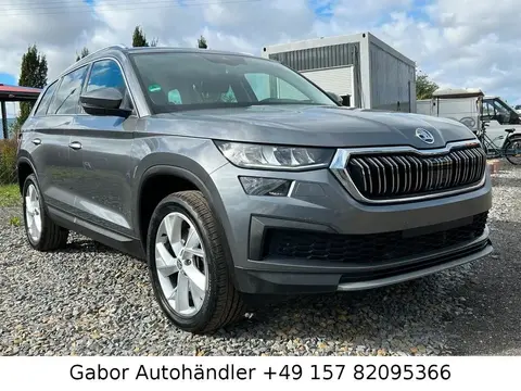 Used SKODA KODIAQ Diesel 2022 Ad 