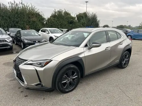 Used LEXUS UX Hybrid 2022 Ad 