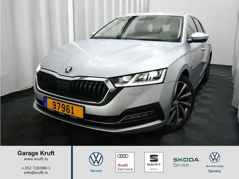 Annonce SKODA OCTAVIA Diesel 2024 d'occasion 