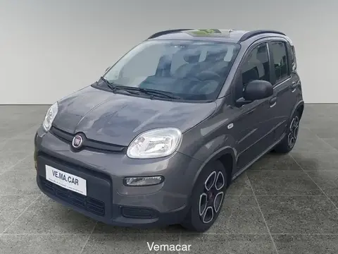 Annonce FIAT PANDA Hybride 2021 d'occasion 