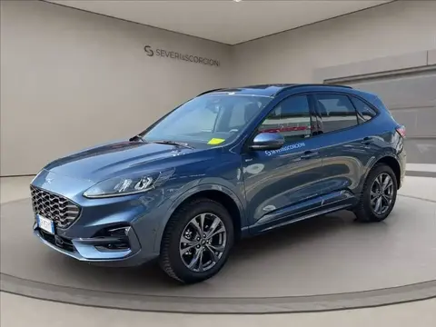 Annonce FORD KUGA Hybride 2023 d'occasion 