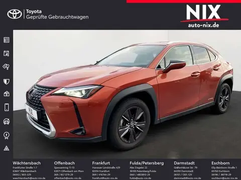 Used LEXUS UX Hybrid 2020 Ad 