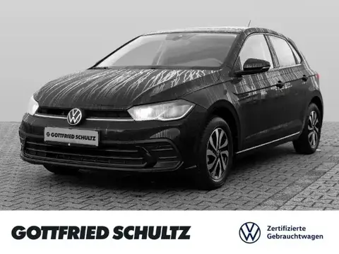 Used VOLKSWAGEN POLO Petrol 2024 Ad 