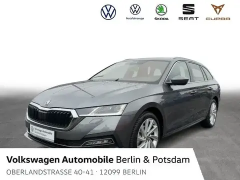 Used SKODA OCTAVIA Petrol 2024 Ad 