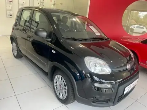 Used FIAT PANDA Petrol 2024 Ad 