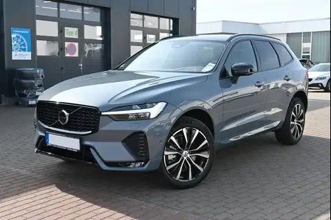 Annonce VOLVO XC60 Diesel 2024 d'occasion 