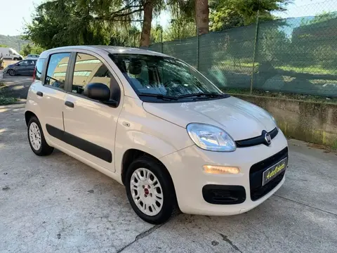 Used FIAT PANDA Petrol 2016 Ad 