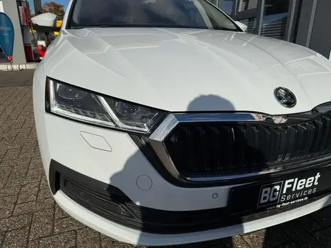 Used SKODA OCTAVIA Diesel 2021 Ad 