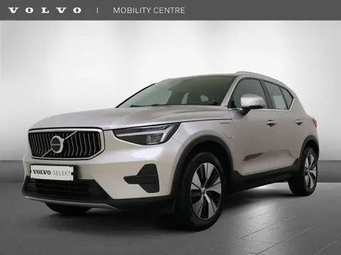 Used VOLVO XC40 Hybrid 2022 Ad 