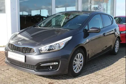 Used KIA CEED Petrol 2017 Ad 