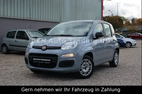 Annonce FIAT PANDA Essence 2020 d'occasion 