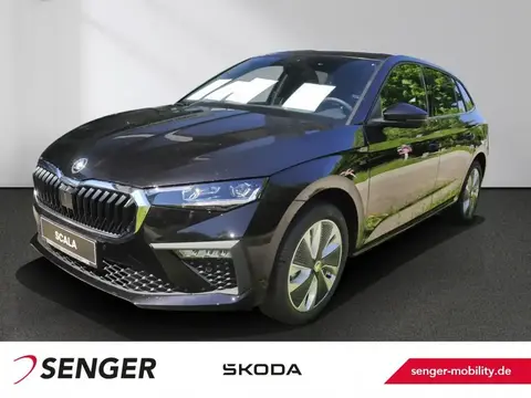 Annonce SKODA SCALA Essence 2024 d'occasion 