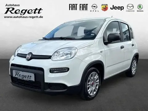 Used FIAT PANDA Petrol 2023 Ad 