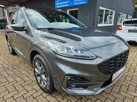 Used FORD KUGA Diesel 2021 Ad 