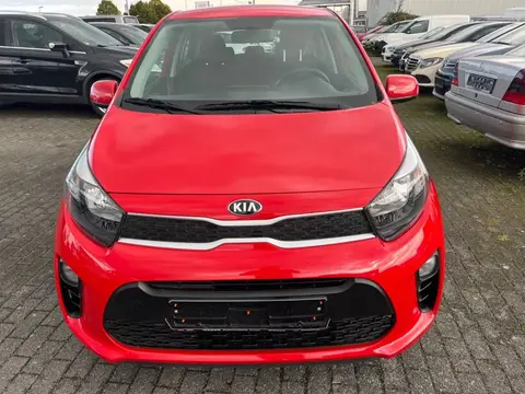 Annonce KIA PICANTO Essence 2020 d'occasion 