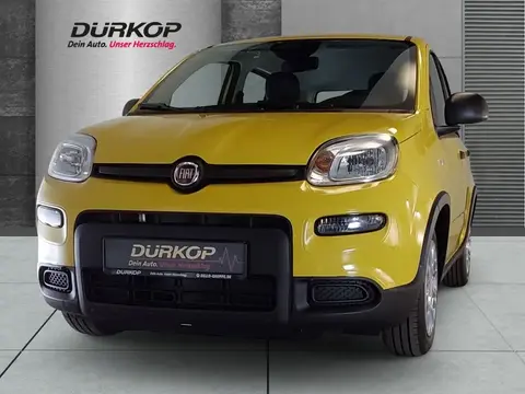 Annonce FIAT PANDA Essence 2024 d'occasion 