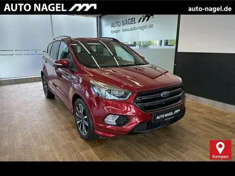 Used FORD KUGA Petrol 2019 Ad 