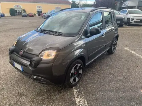 Used FIAT PANDA Hybrid 2021 Ad 