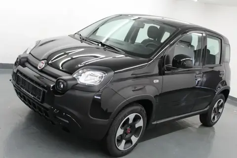 Annonce FIAT PANDA Essence 2021 d'occasion 