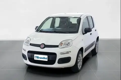 Annonce FIAT PANDA  2018 d'occasion 