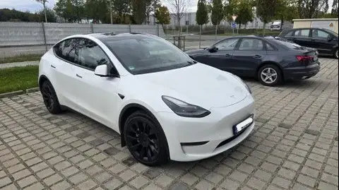 Annonce TESLA MODEL Y Non renseigné 2023 d'occasion 