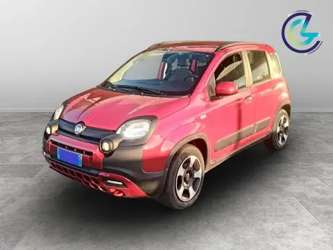 Annonce FIAT PANDA Hybride 2024 d'occasion 