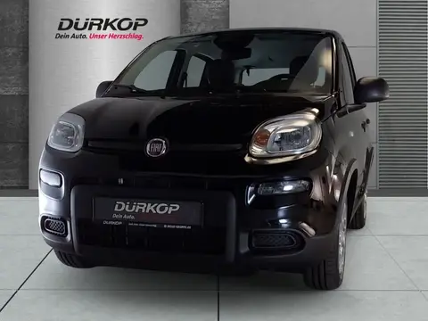 Annonce FIAT PANDA Essence 2024 d'occasion 