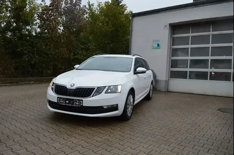 Annonce SKODA OCTAVIA Diesel 2020 d'occasion 