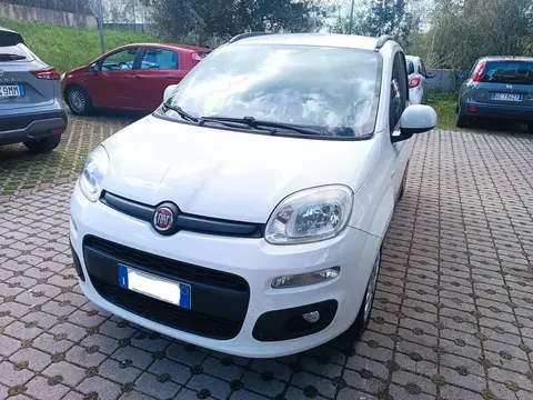 Used FIAT PANDA Petrol 2017 Ad 