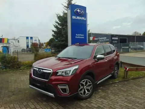 Annonce SUBARU FORESTER Essence 2020 d'occasion 