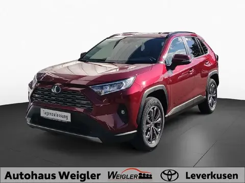 Used TOYOTA RAV4 Hybrid 2024 Ad 