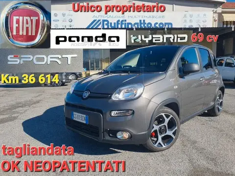 Used FIAT PANDA Petrol 2021 Ad 