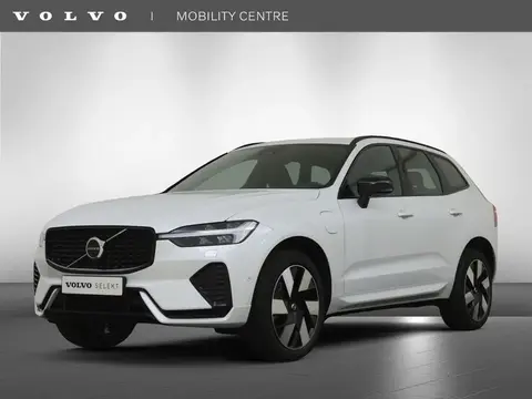 Used VOLVO XC60 Hybrid 2023 Ad 