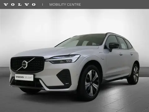 Used VOLVO XC60 Hybrid 2024 Ad 