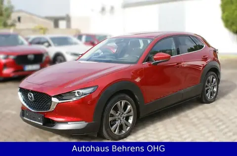 Used MAZDA CX-30 Petrol 2020 Ad 