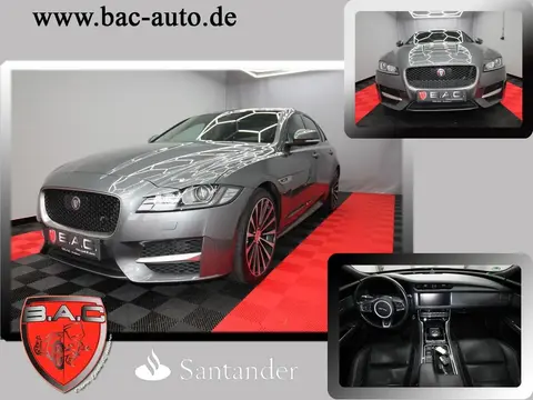 Used JAGUAR XF Diesel 2017 Ad 