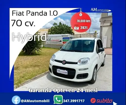 Annonce FIAT PANDA Hybride 2021 d'occasion 